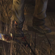 Image for article titled The 5 Worst Moments In The New Walking Dead, With Spoilers